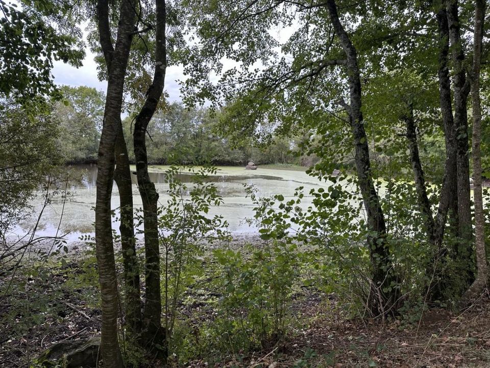 Helårsgrund i Chaillé-sous-les-Ormeaux, Vendee - foto 4