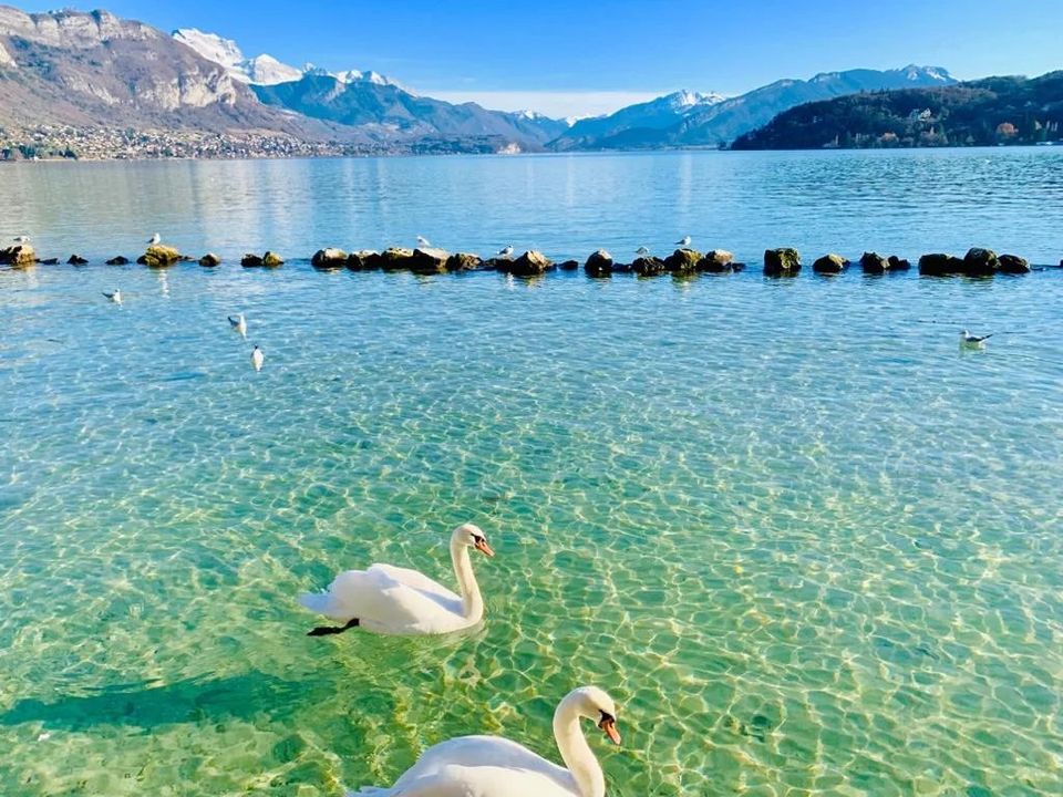 Erhvervsejendom i Annecy, Haute-Savoie - foto 1