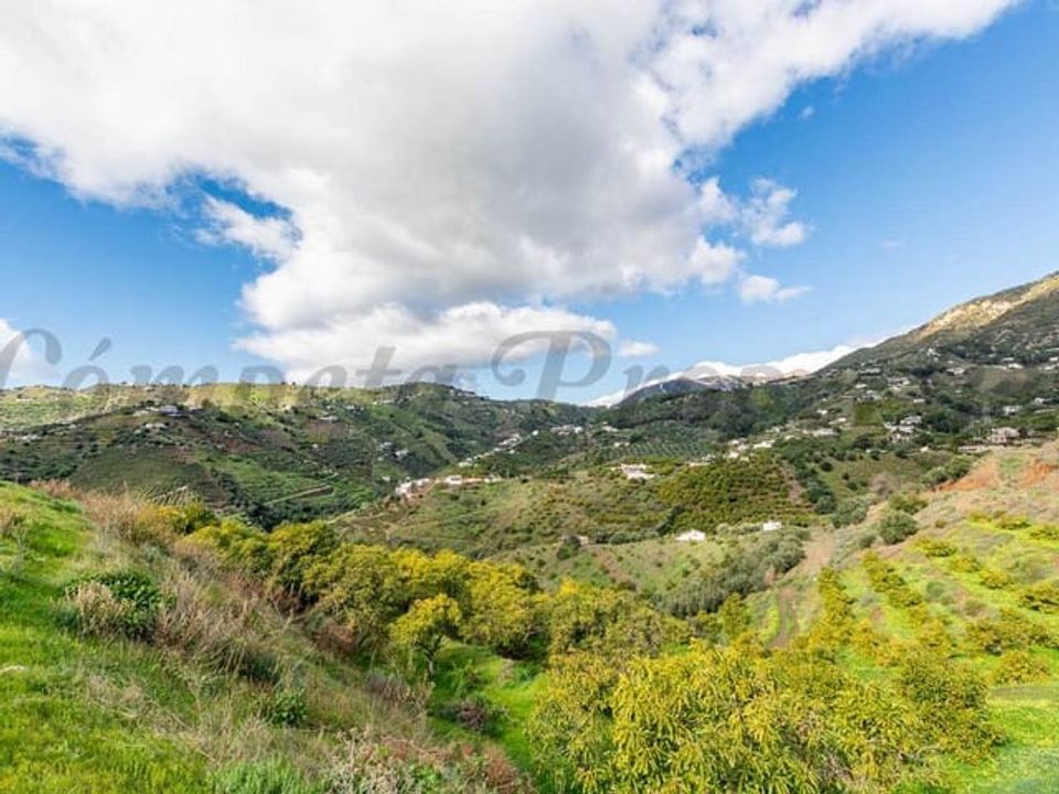 Finca i Frigiliana, Malaga - foto 5