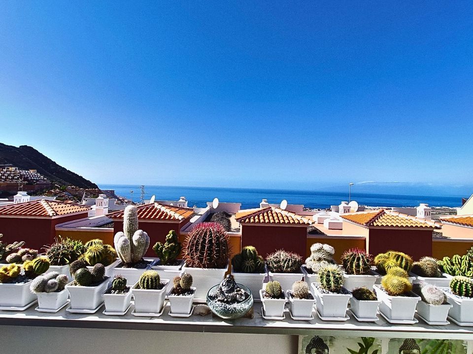 Rækkehus i Torviscas, Tenerife - foto 2