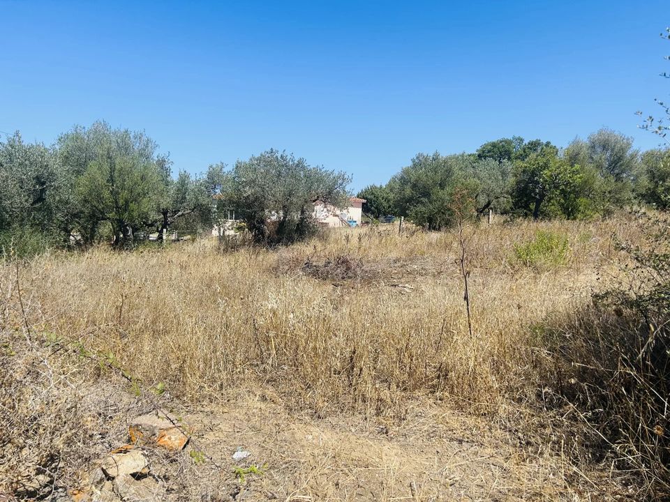 Helårsgrund i Budoni, Sassari - foto 4
