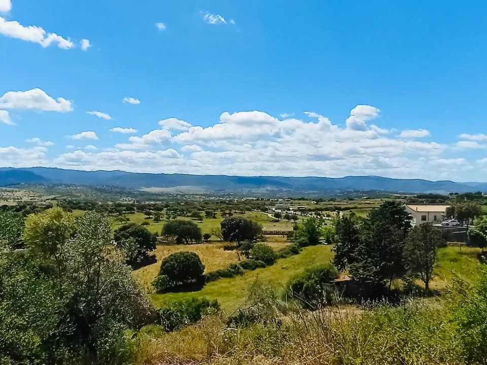 Terreno en Berchidda, Sassari - foto 1