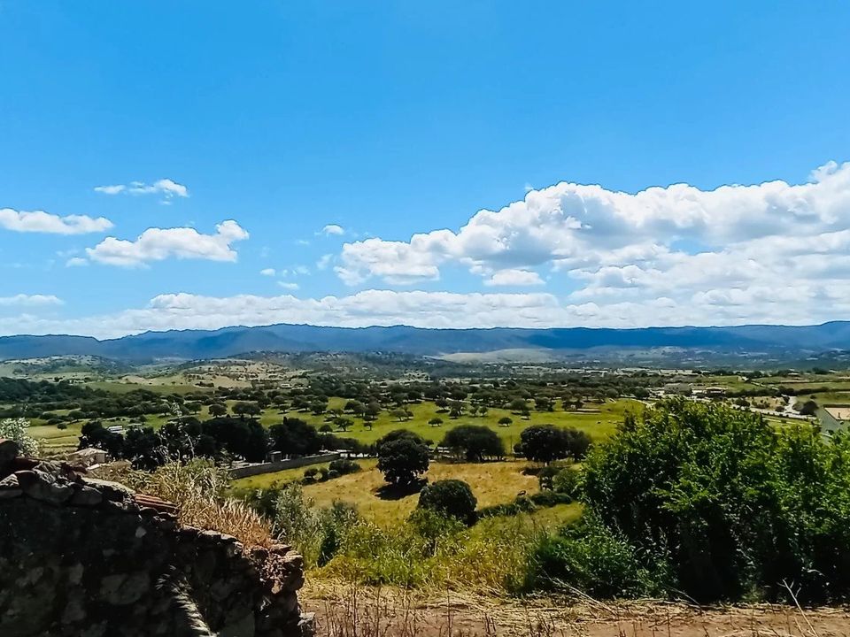 Terreno en Berchidda, Sassari - foto 3