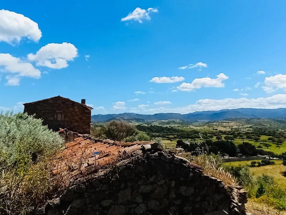 Terreno en Berchidda, Sassari - foto 4