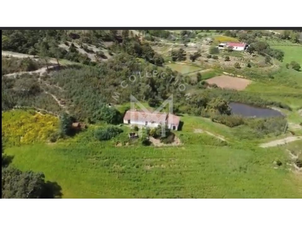 Farm i Silves, Faro - foto 3