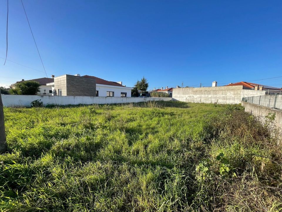 Helårsgrund i Torres Novas, Santarem - foto 5