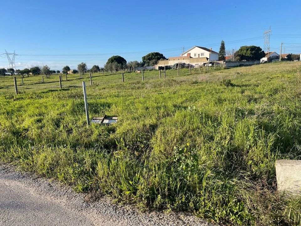 Helårsgrund i Torres Novas, Santarem - foto 3