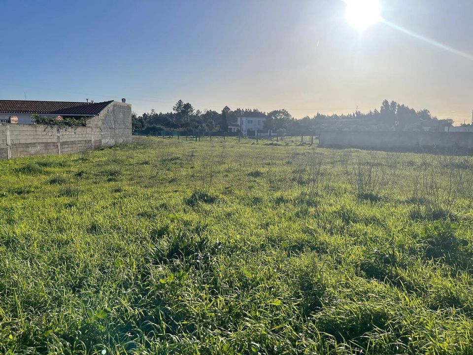 Helårsgrund i Torres Novas, Santarem - foto 3