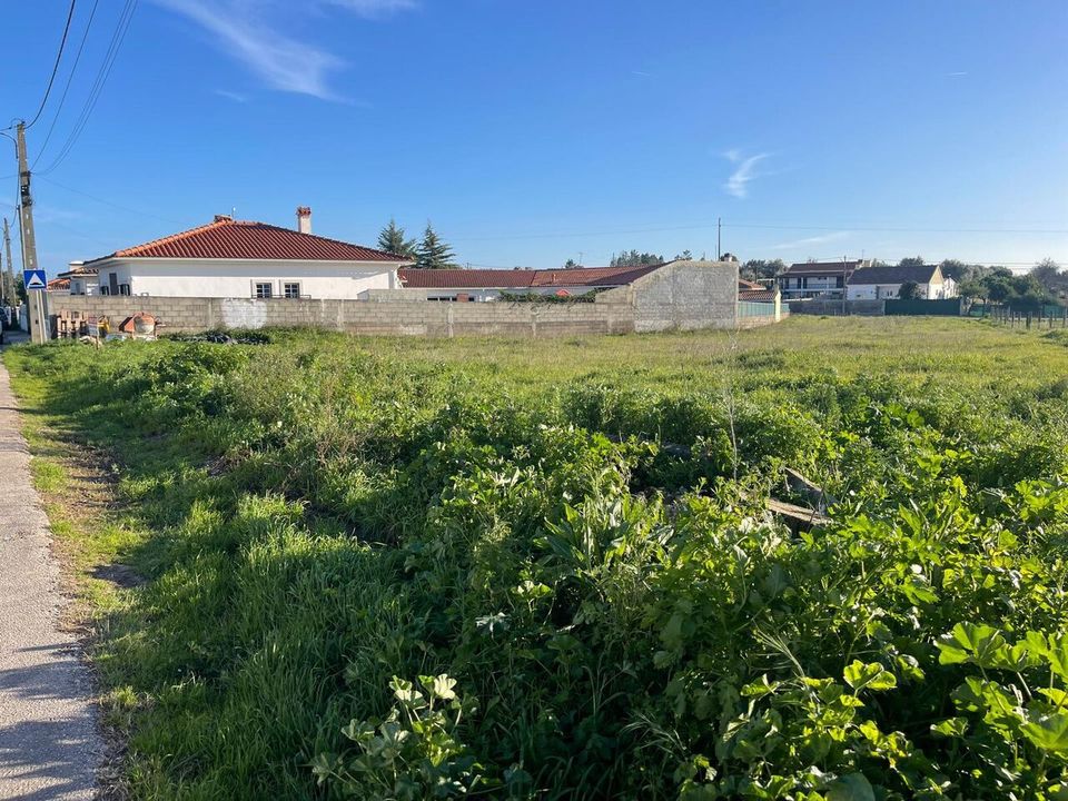Helårsgrund i Torres Novas, Santarem - foto 1