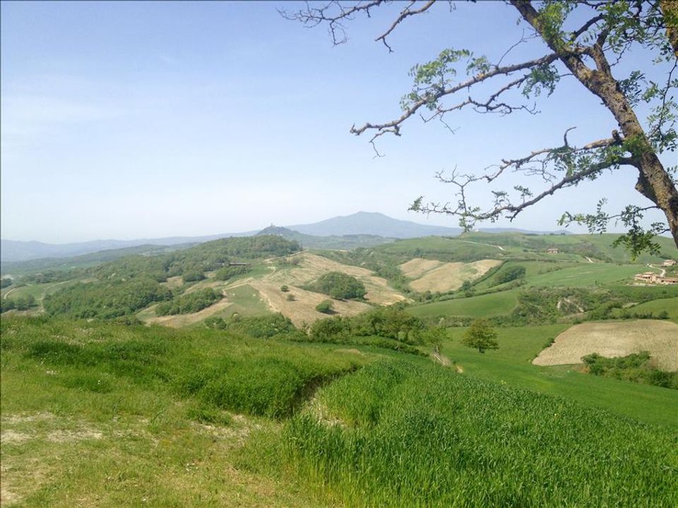 Farm hus i Radicofani, Siena - foto 5