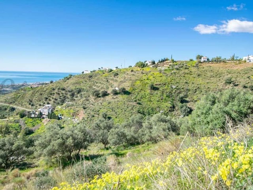 Helårsgrund i Sayalonga, Malaga - foto 2