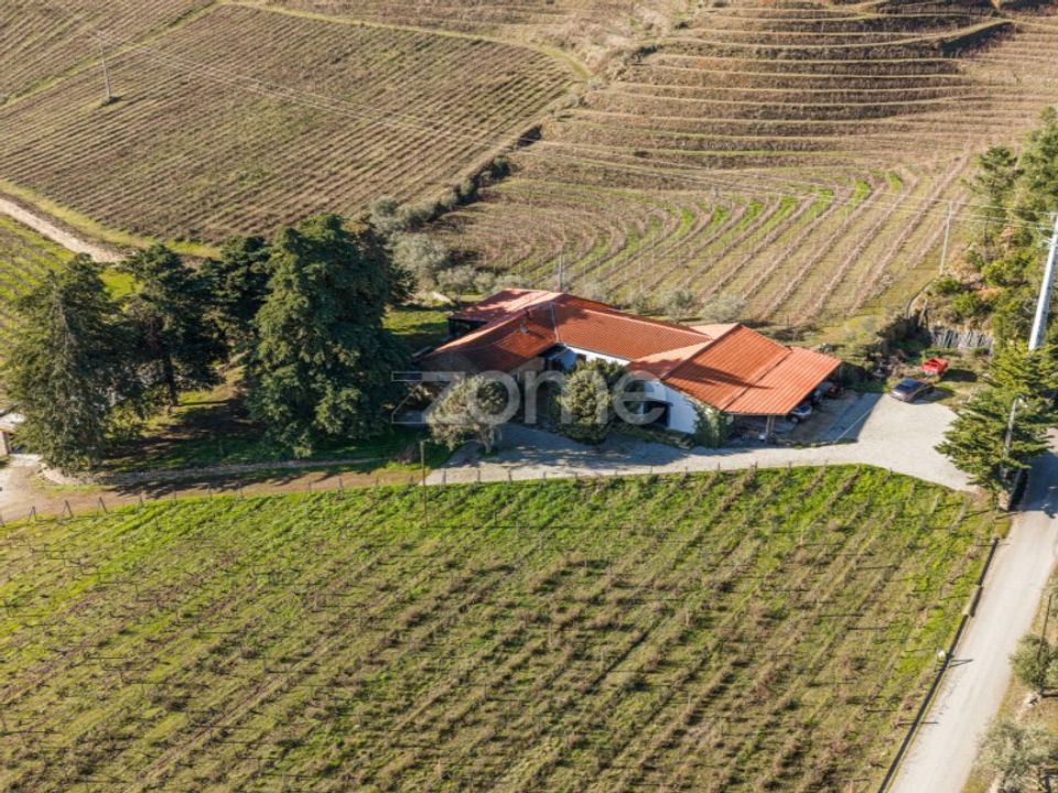 Gård i Tabuaco, Viseu - bilde 1