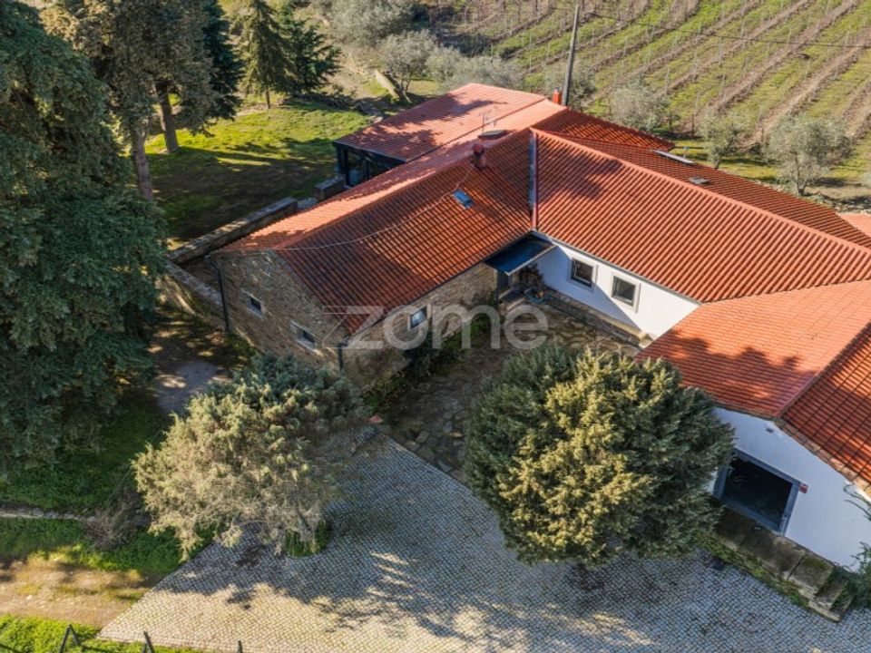 Gård i Tabuaco, Viseu - bilde 2