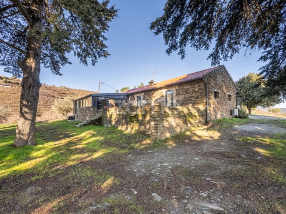 Gård i Tabuaco, Viseu - bilde 3