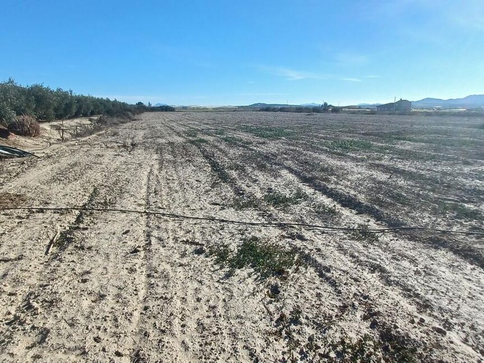 Erhvervsejendom i Huercal-Overa, Almeria - foto 3