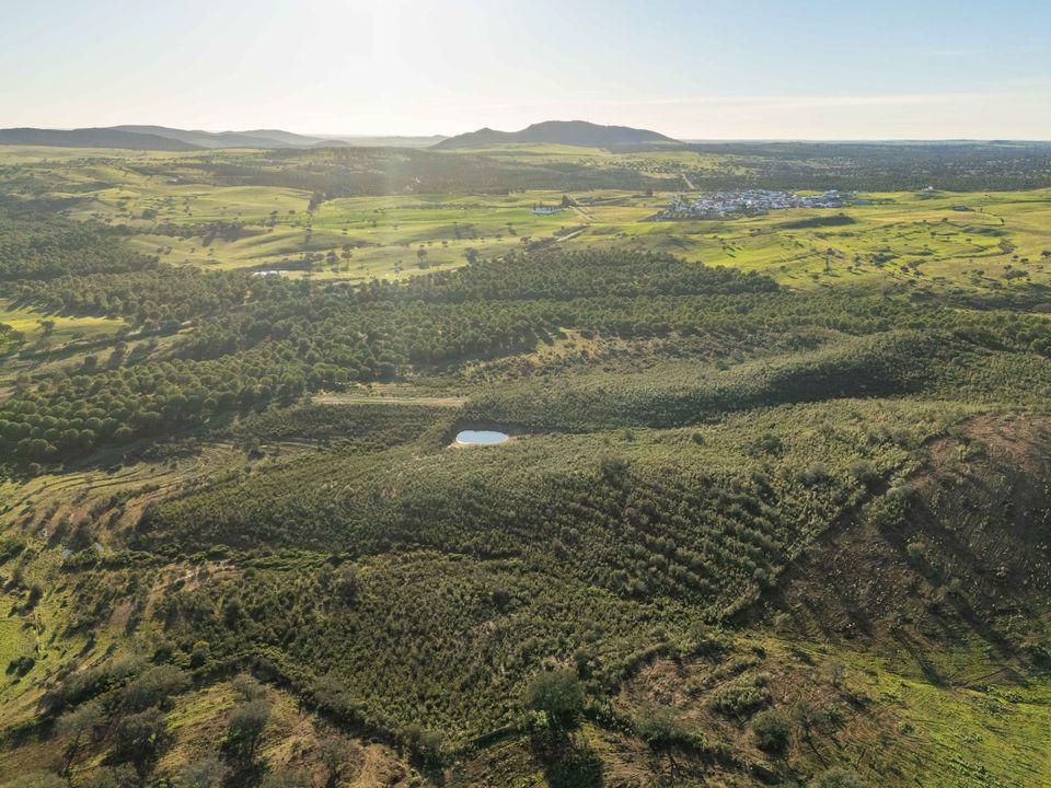 Helårsgrund i Mertola, Beja - foto 4