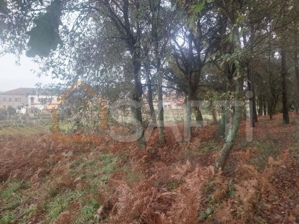 Tomt i Ceivaes e Badim, Viana do Castelo - bilde 3