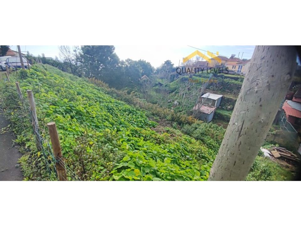 Helårsgrund i Camacha, Madeira - foto 1