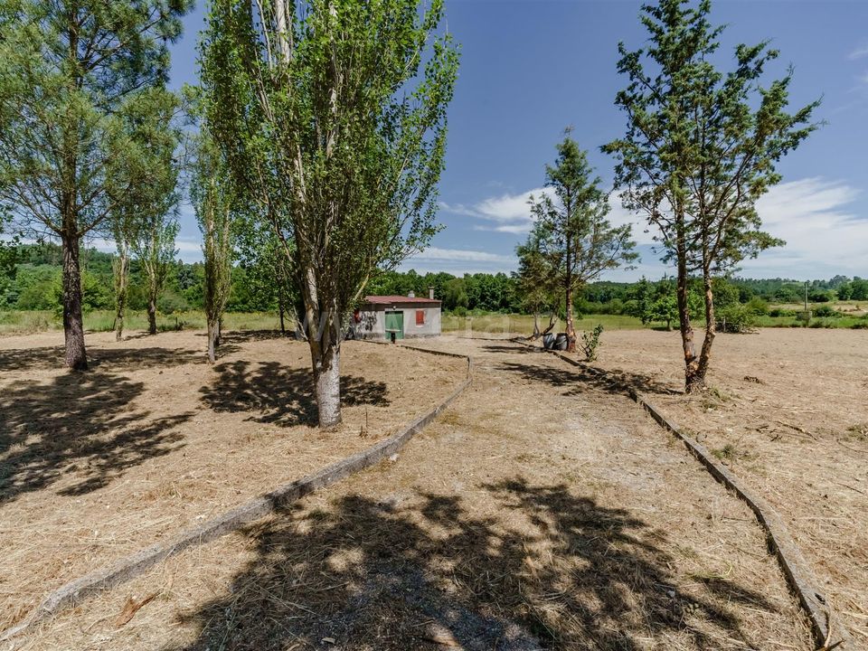 Landejendom i Seia, Guarda - foto 4