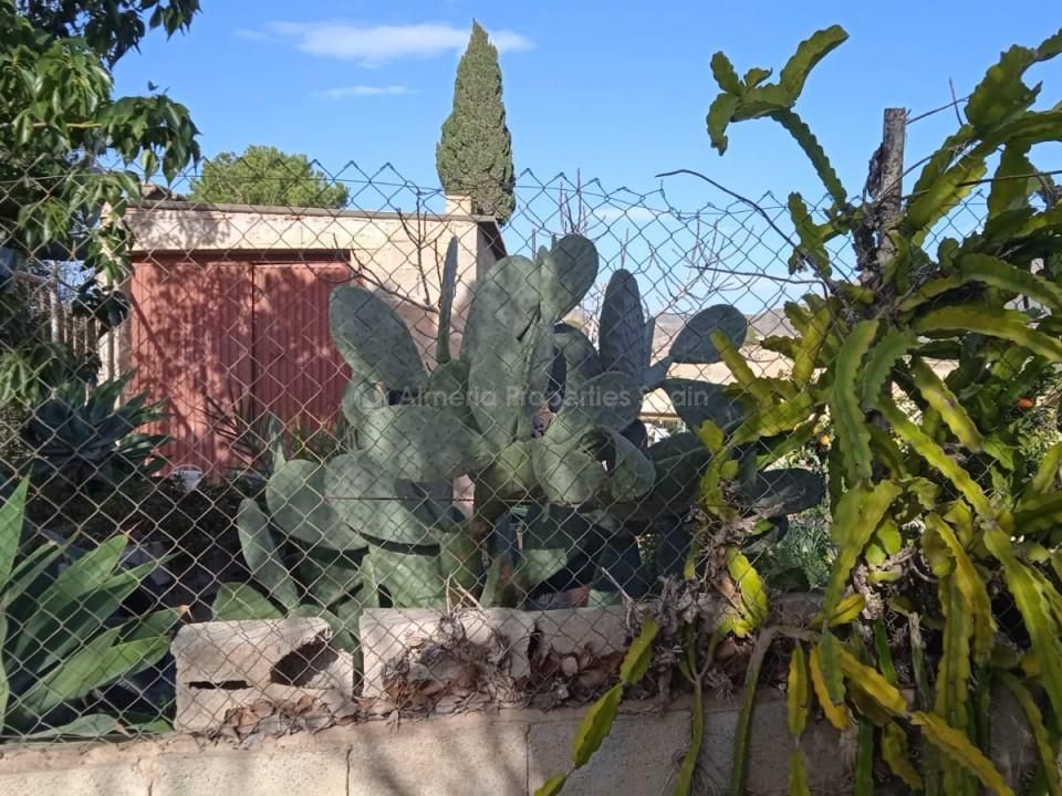 Farm hus i Zurgena, Almeria - foto 3
