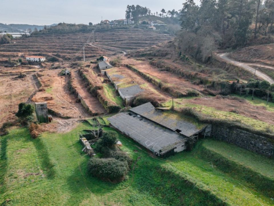 Gård i Vila Fria e Vizela (Sao Jorge), Porto - bilde 5
