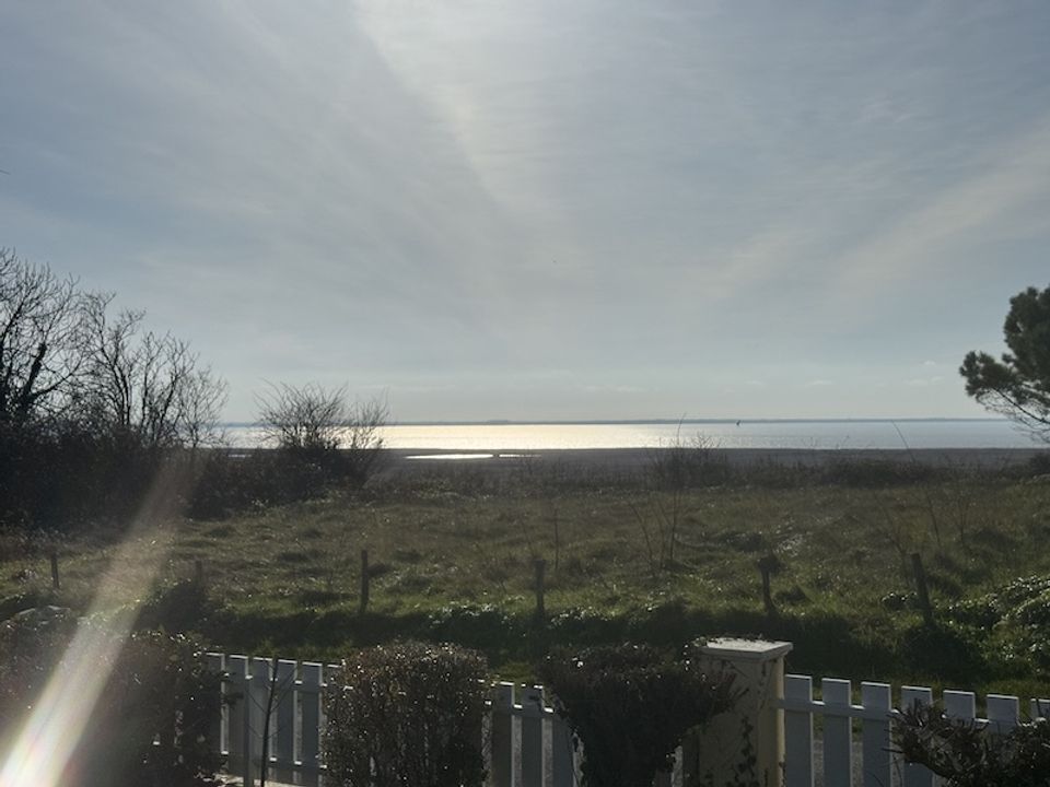 Villa i Mortagne-sur-Gironde, Charente-Maritime - foto 3