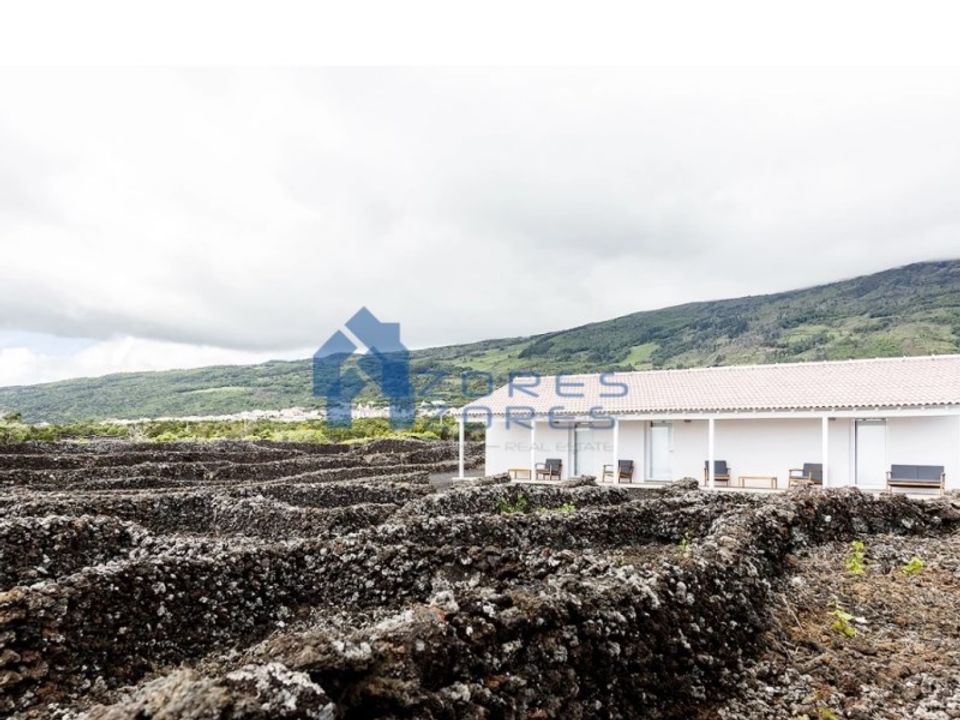 Erhvervsejendom i Sao Mateus, Graciosa - foto 5