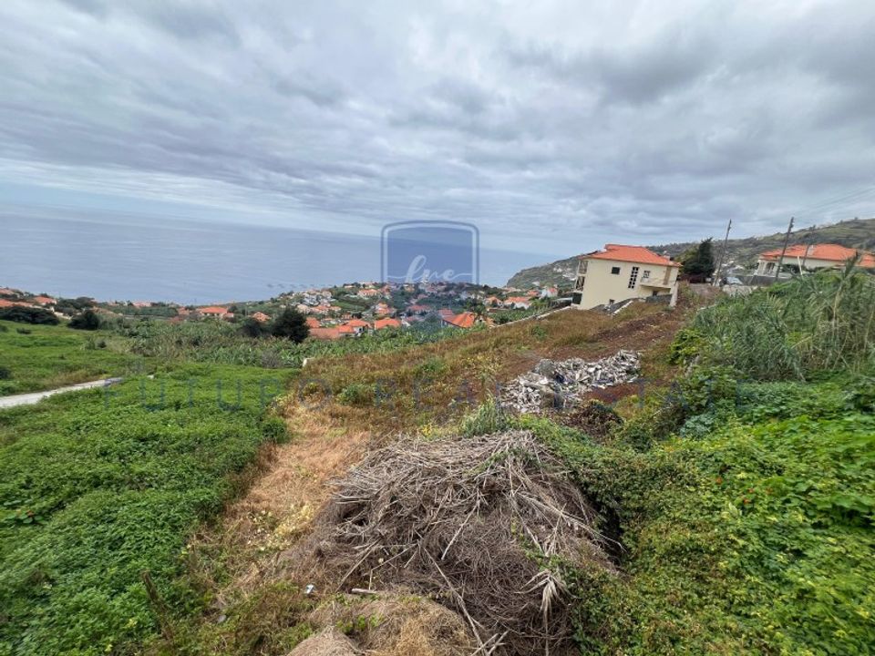 Helårsgrund i Arco da Calheta, Madeira - foto 4