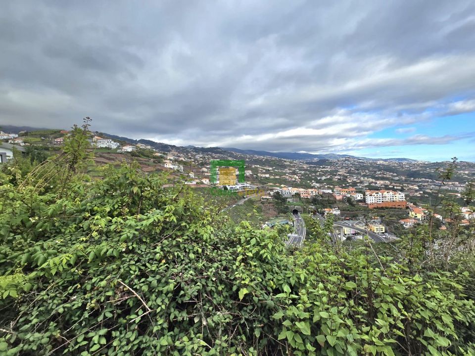 Helårsgrund i Camara de Lobos, Madeira - foto 2