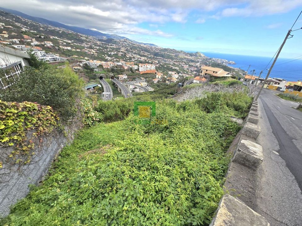 Helårsgrund i Camara de Lobos, Madeira - foto 4