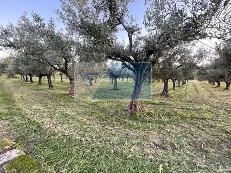Helårsgrund i Siracusa, Siracusa - foto 1