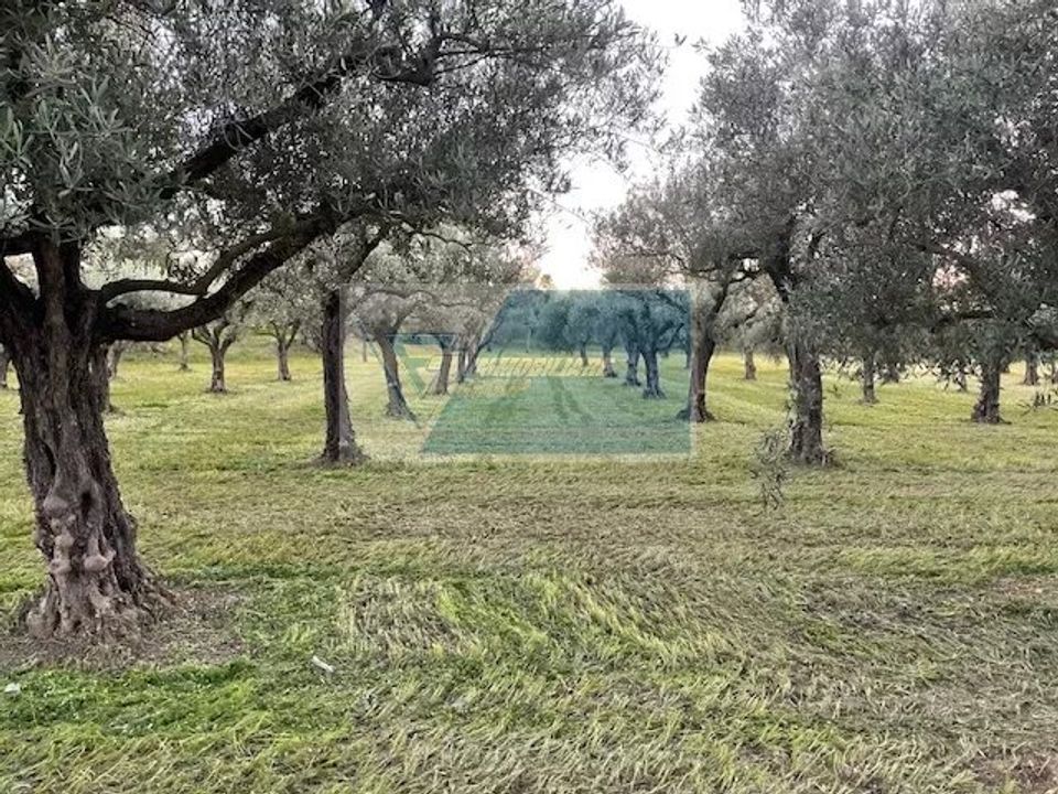 Helårsgrund i Siracusa, Siracusa - foto 2