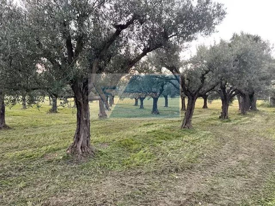 Helårsgrund i Siracusa, Siracusa - foto 3