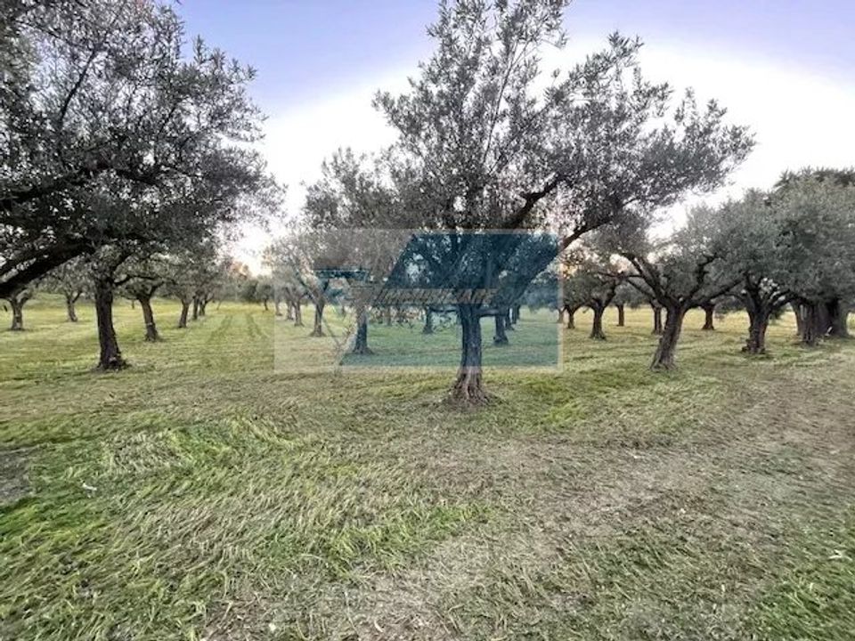 Helårsgrund i Siracusa, Siracusa - foto 4