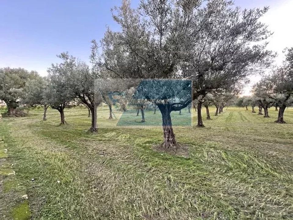 Helårsgrund i Siracusa, Siracusa - foto 5