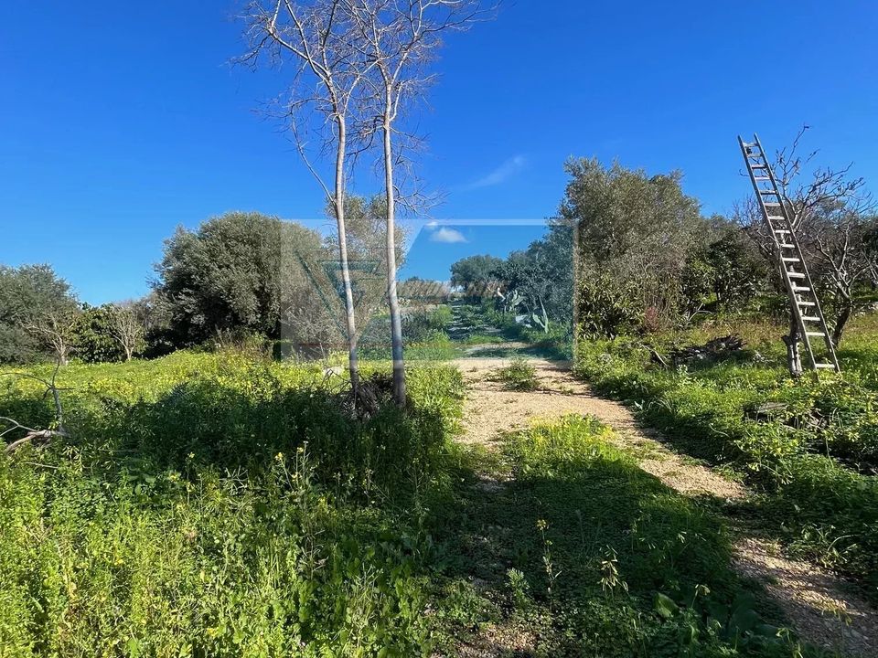Helårsgrund i Siracusa, Siracusa - foto 2