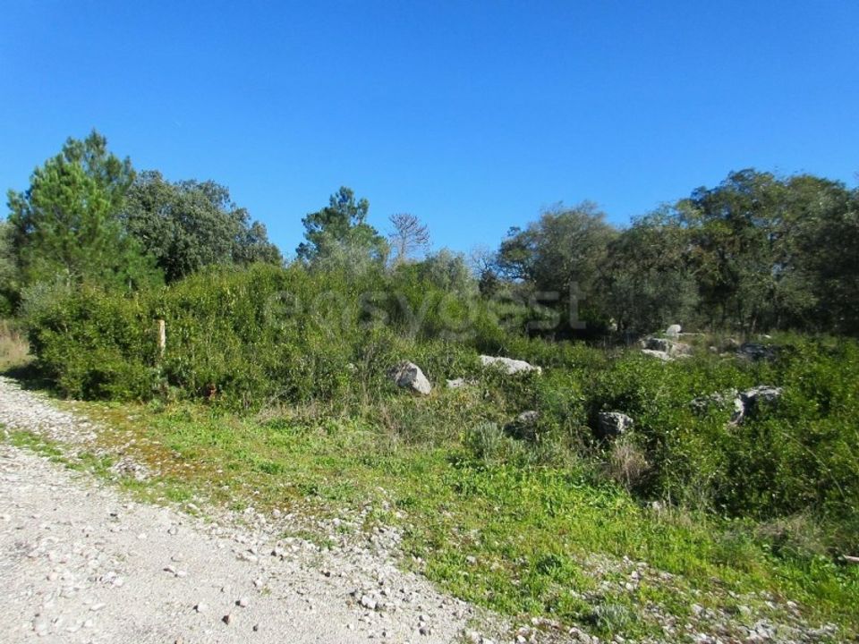 Helårsgrund i Mira de Aire, Leiria - foto 2