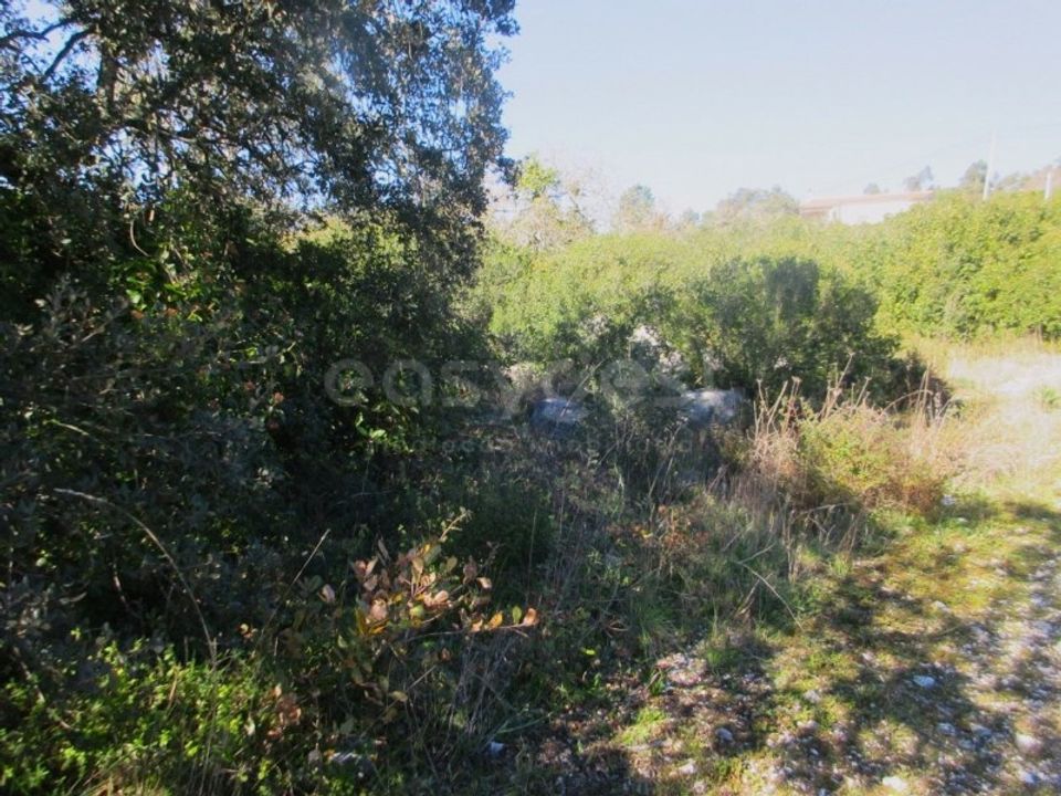 Helårsgrund i Mira de Aire, Leiria - foto 3