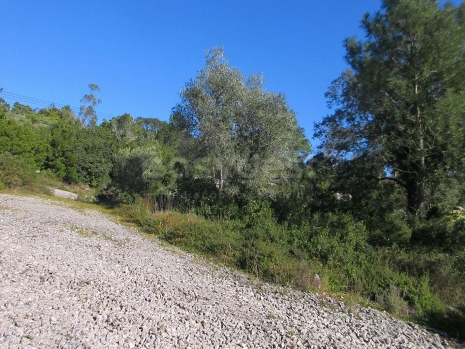 Helårsgrund i Mira de Aire, Leiria - foto 4