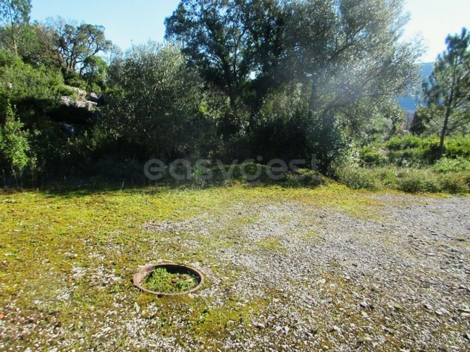 Helårsgrund i Mira de Aire, Leiria - foto 5