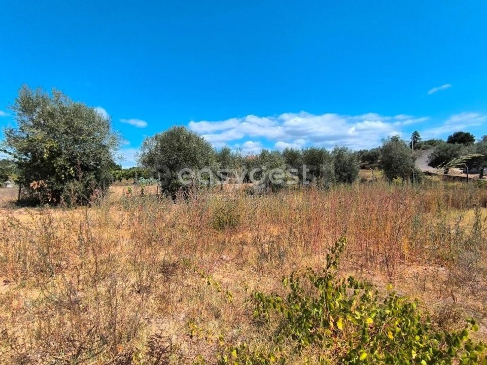 Villa i Mouriscas, Santarem - foto 4