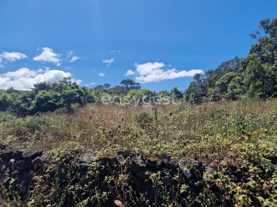 Helårsgrund i Madalena, Pico - foto 2