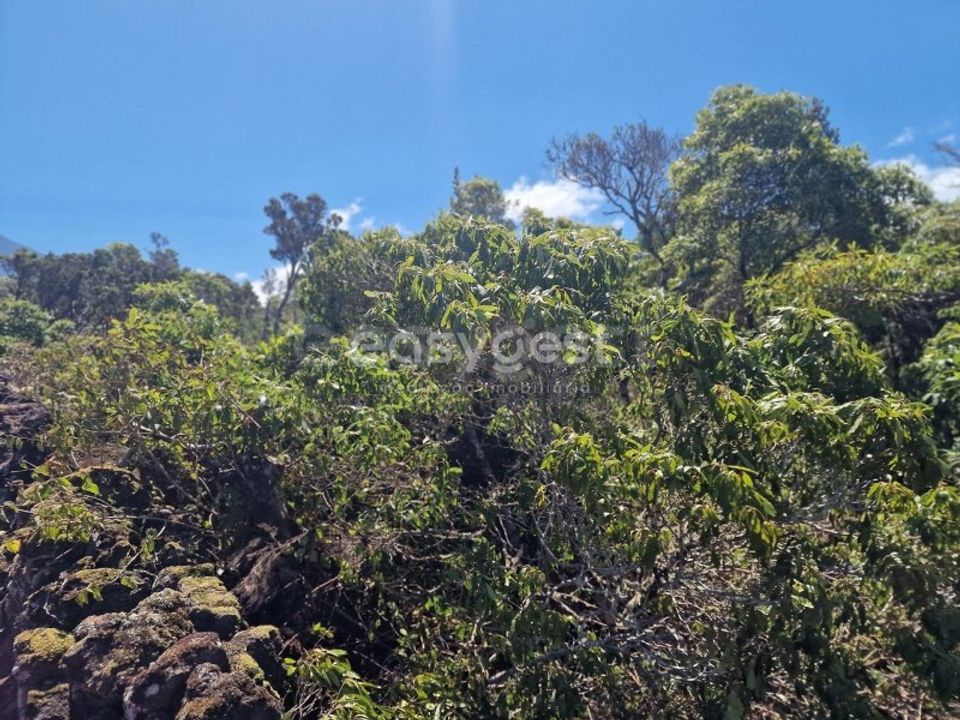 Helårsgrund i Madalena, Pico - foto 5