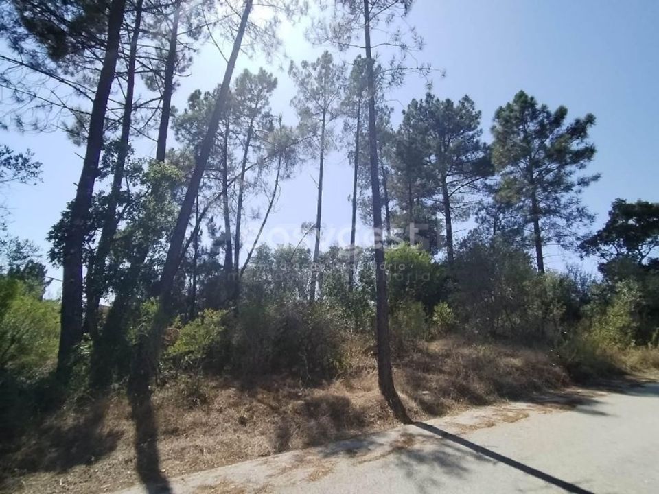 Helårsgrund i Tomar, Santarem - foto 1
