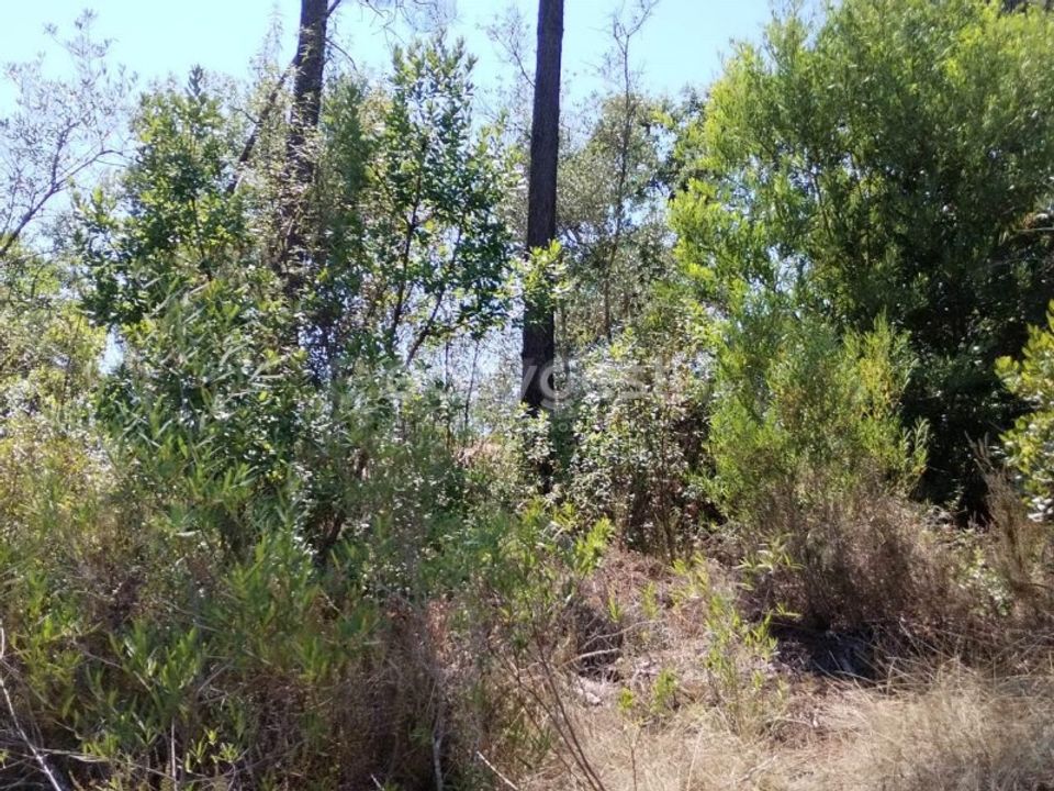 Helårsgrund i Tomar, Santarem - foto 3