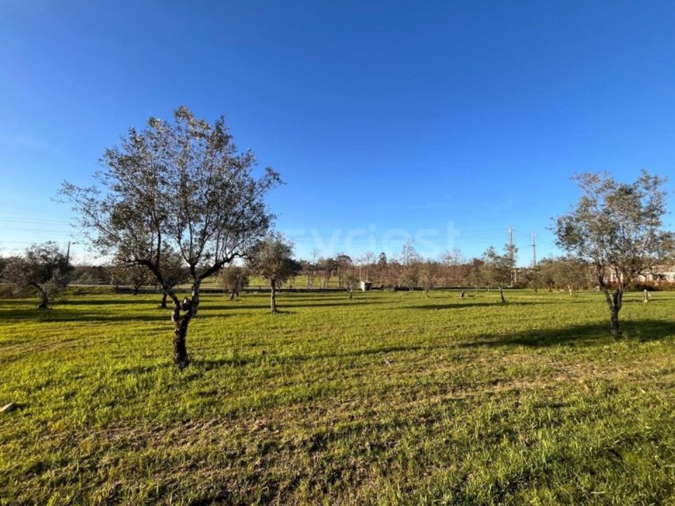 Granja en Mangualde, Viseu - foto 3