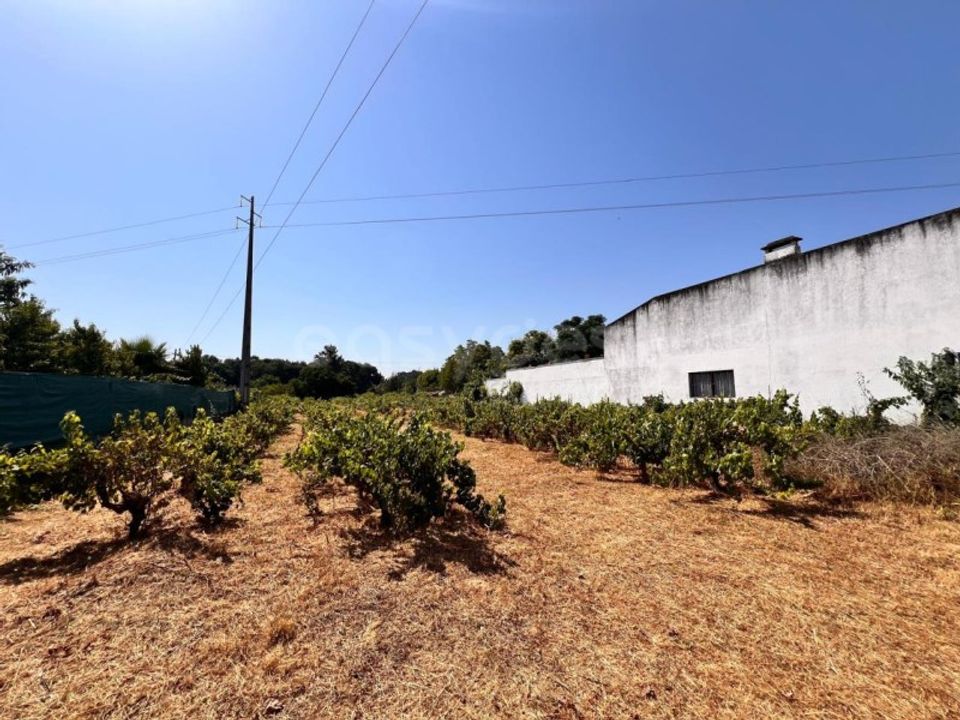 Terra a Abrantes, Santarem - foto 2