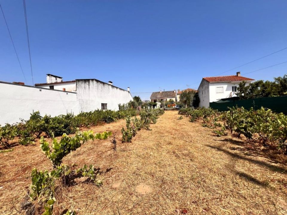 Terra a Abrantes, Santarem - foto 3