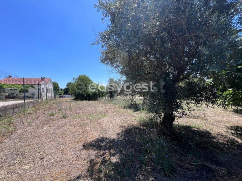 Helårsgrund i Tomar, Santarem - foto 1