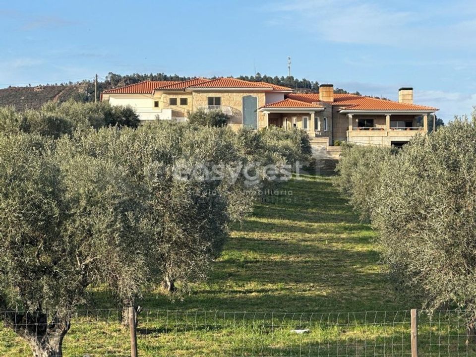 Farm i Vila Flor, Braganca - foto 1
